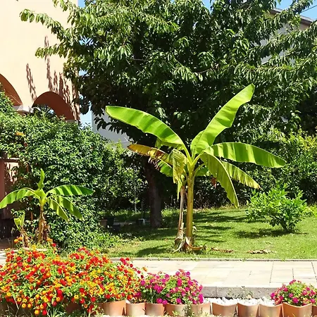 Luna Apartment Sukošan