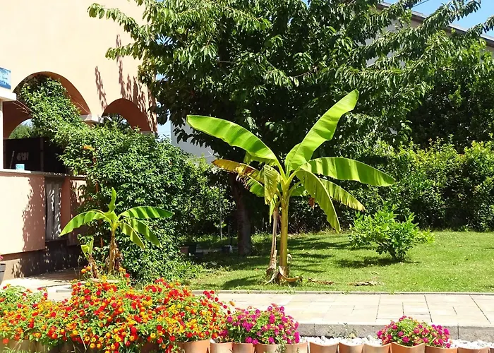 Luna Lejlighed Sukošan